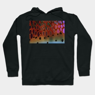 Rainbow Trout Texture Hoodie